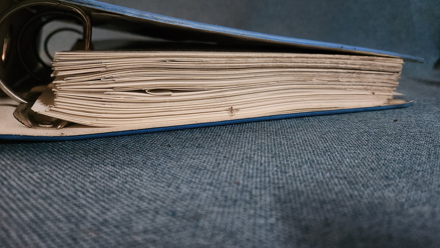 Audi 50/Derby Stromlaufpläne Reparaturleitfaden Werkstattbuch