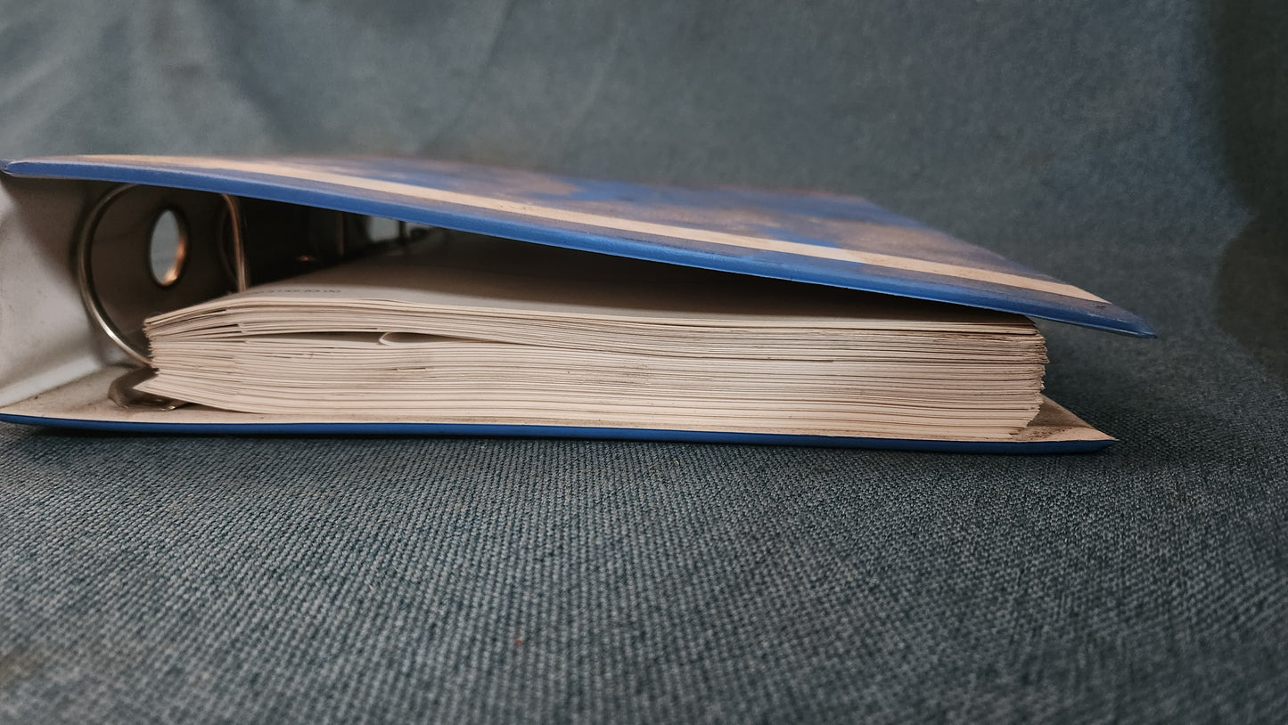 Golf 1 Jetta 1 Scirocco 1/2 Reparaturleitfaden Stromlaufpläne