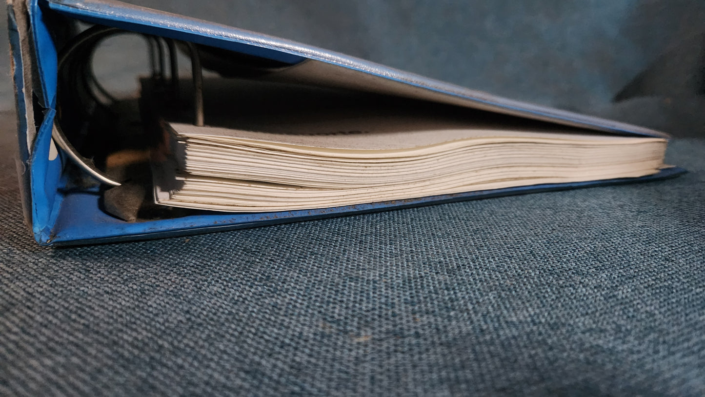 Polo 6N Typ3 Werkstattordner Reparaturleitfaden