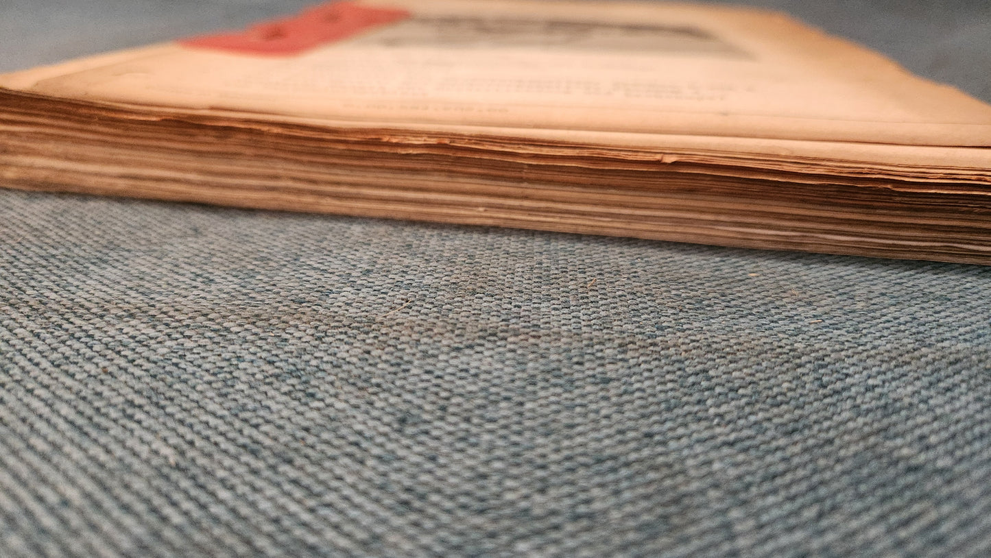 Golf 1 Jetta 1 Scirocco 1 GTI GLI Stromlaufpläne Reparaturleitfaden Werkstattbuch