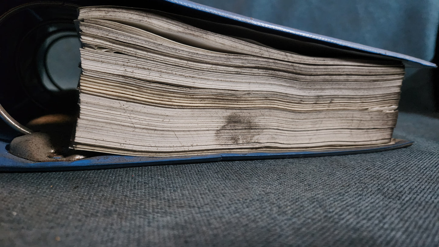 Polo 86C Audi 50 Derby Polo 6N Lupo Karosserie Instandsetzung Reparaturleitfaden Werkstattbuch