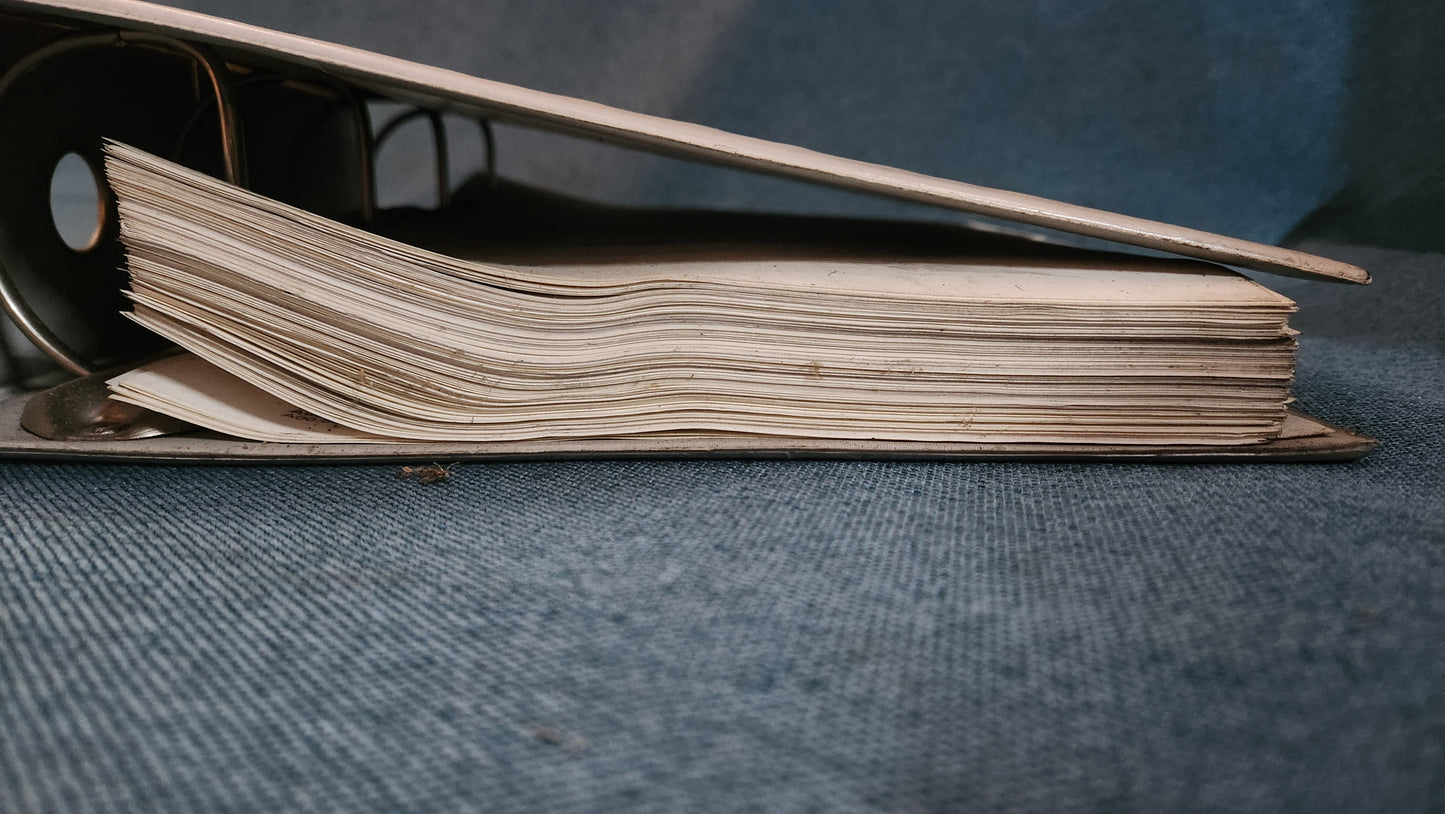 Audi A3 8L Stromlaufpläne Reparaturleitfaden Werkstattbuch