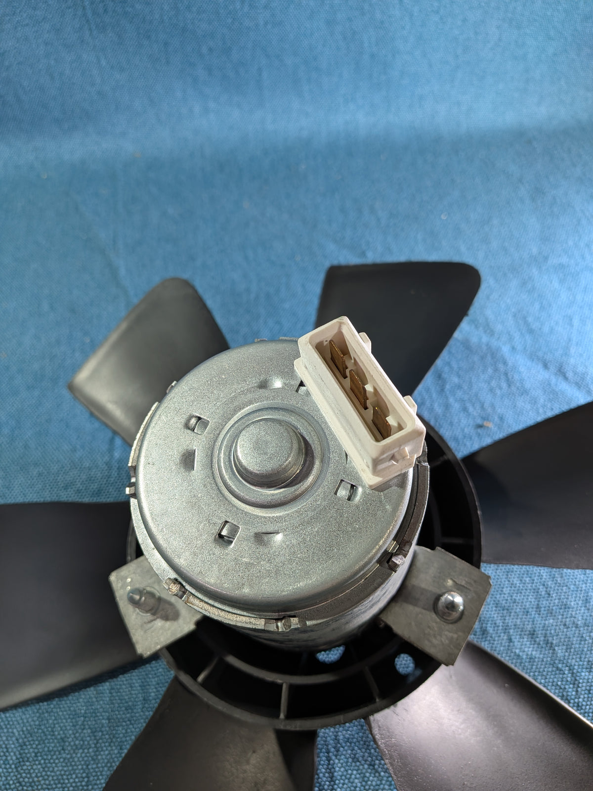 Lüftermotor Golf/Jetta/1/2/Passat/B2/B3/B4/Polo/86C/6N/Scirocco/1/2/Audi 80/90/B1/B2/B3/B4/100/200/C2/C3/Cabriolet/Coupe 165959455L NOS B12