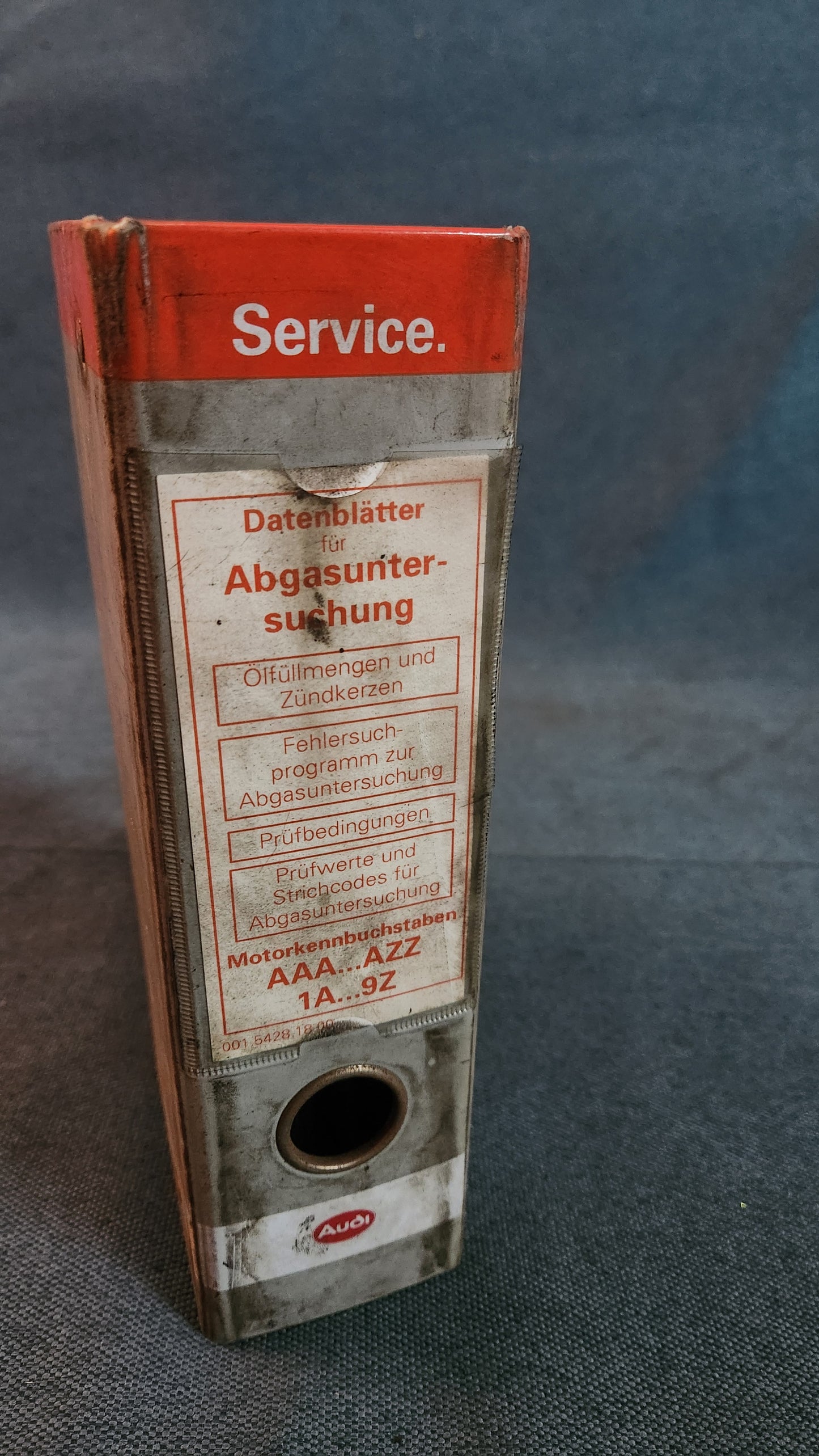 Abgasuntersuchung AAA-AZZ 1A 9Z Reparaturleitfaden Werkstattbuch