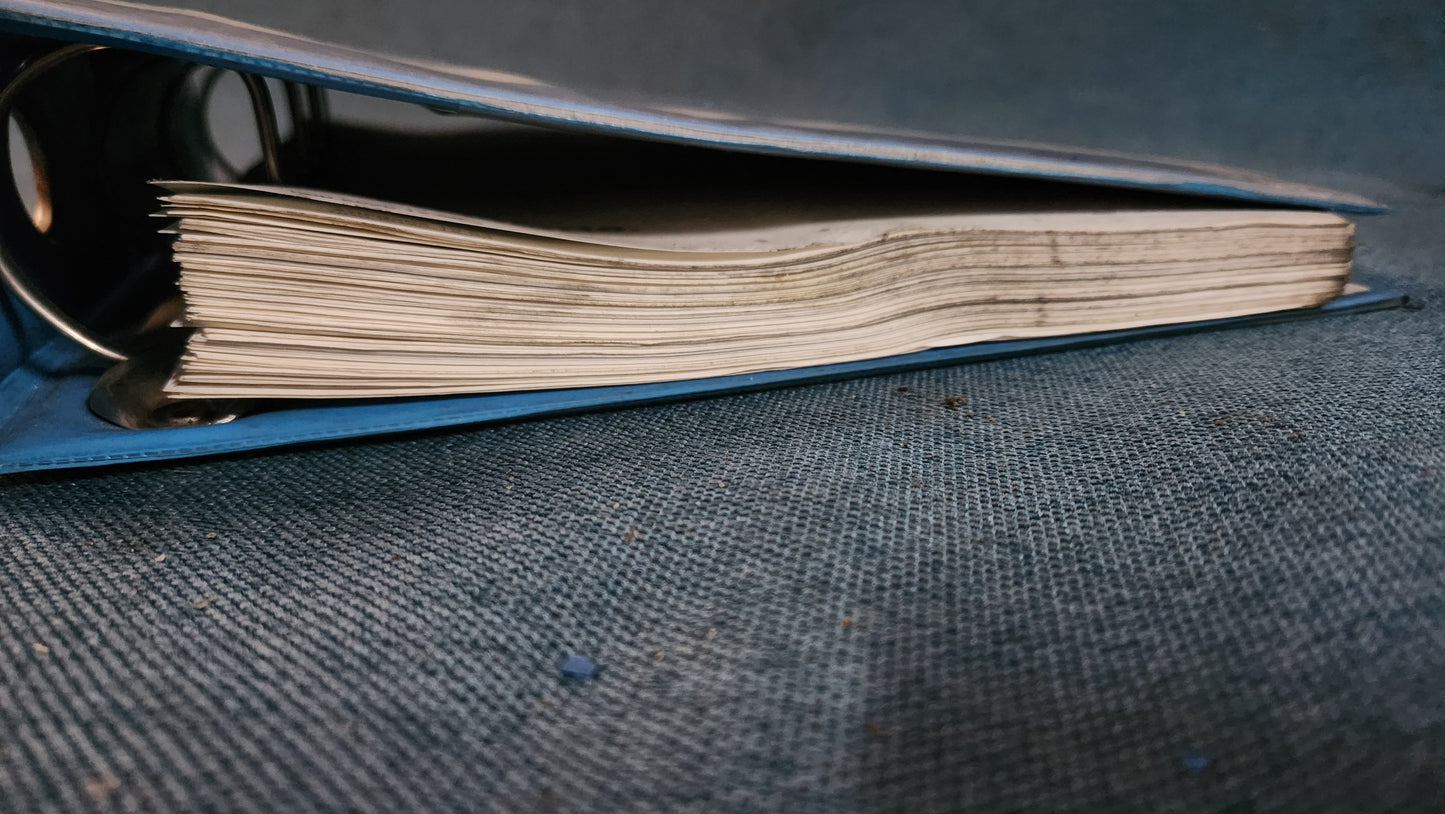 Polo 6N Stromlaufpläne Reparaturleitfaden Werkstattbuch