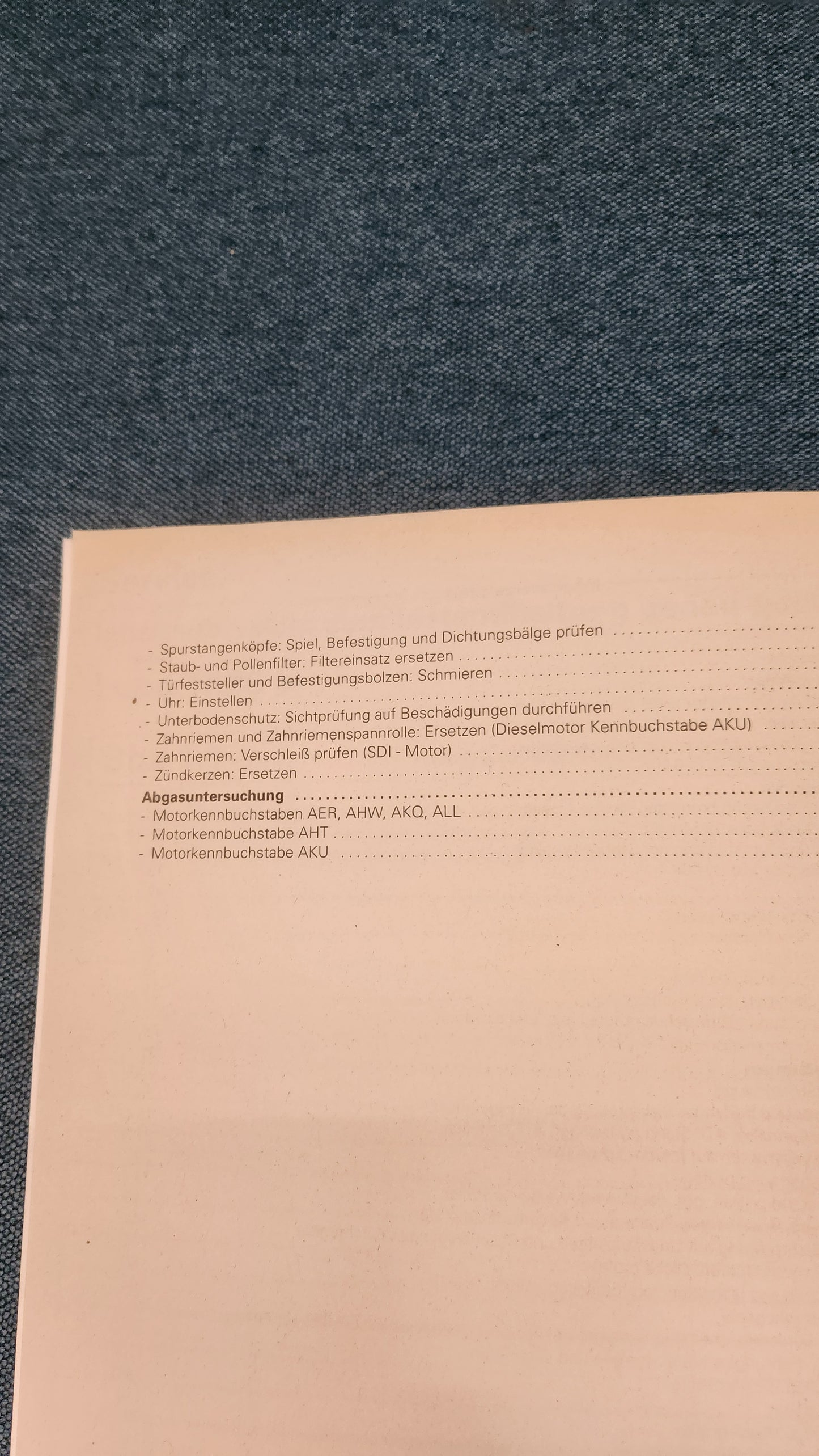 Lupo Instandhaltung genau genommen Reparaturleitfaden Werkstattbuch