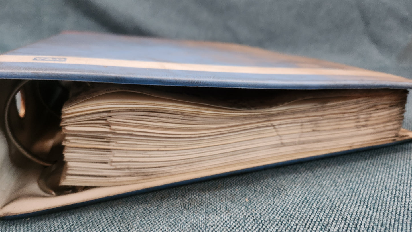 LT1 Stromlaufpläne Reparaturleitfaden Werkstattbuch Z2
