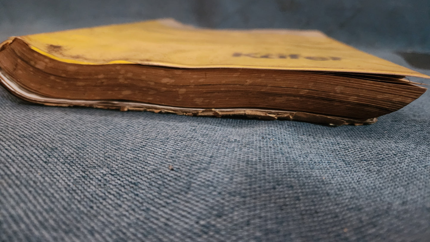 VW Beetle Repair Manual Workshop Book