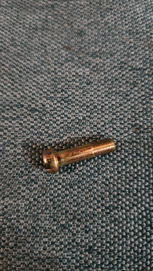 Zylinderschraube Vergaser Passat/Audi80 B1 059129123B Nos L5