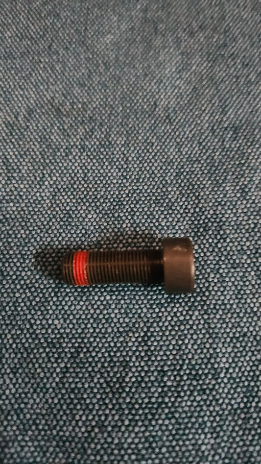 Zylinderschraube mit Innenvielzahn M10x1x29 Golf 1/2/3/4/Jetta1/2/Bora 90665101 Nos G5