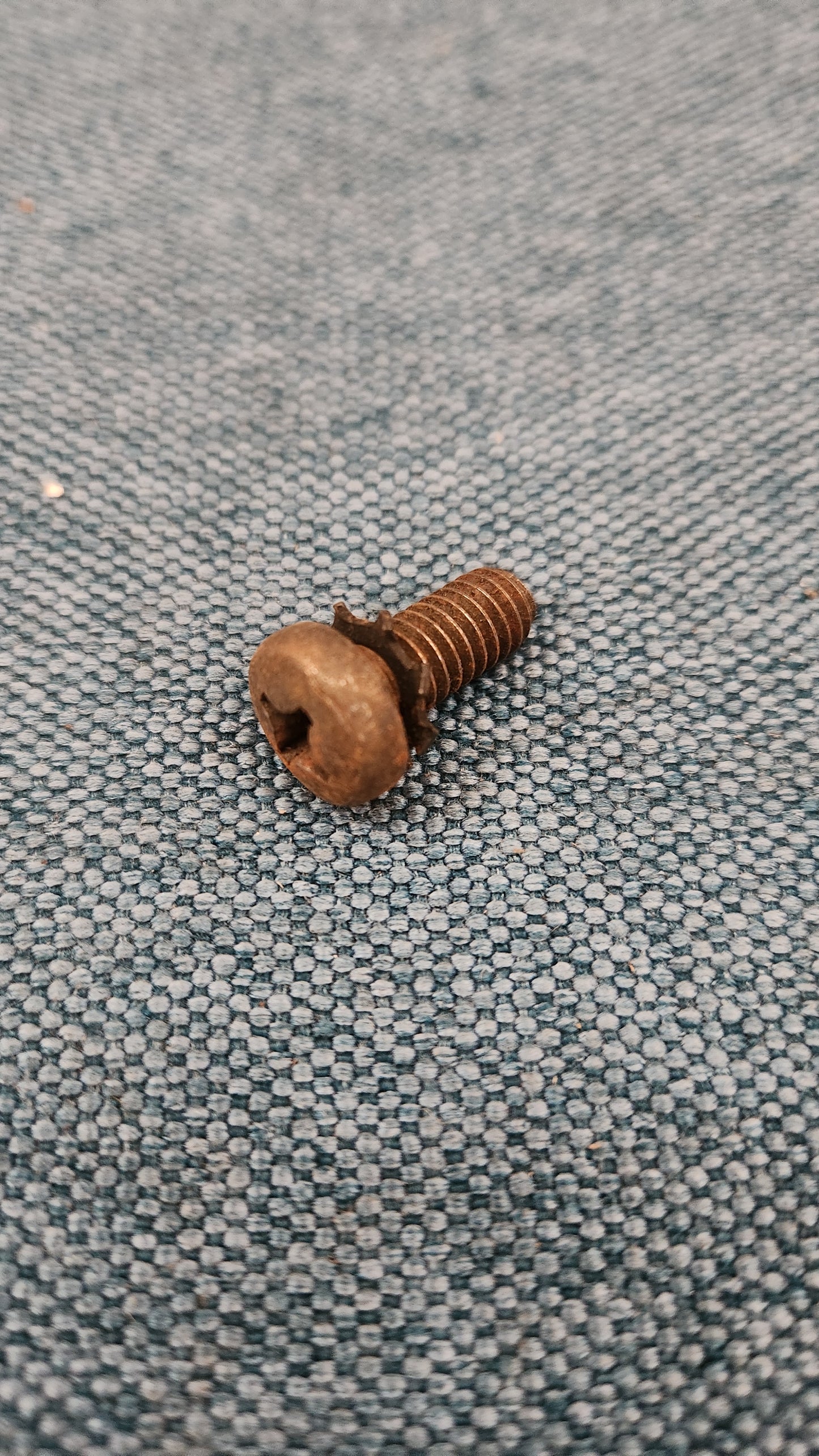 Linsenschraube für Sicherungskappe M7x1,25x16 Käfer/T2/T3/Bus/Typ4 N0901341 Nos K3