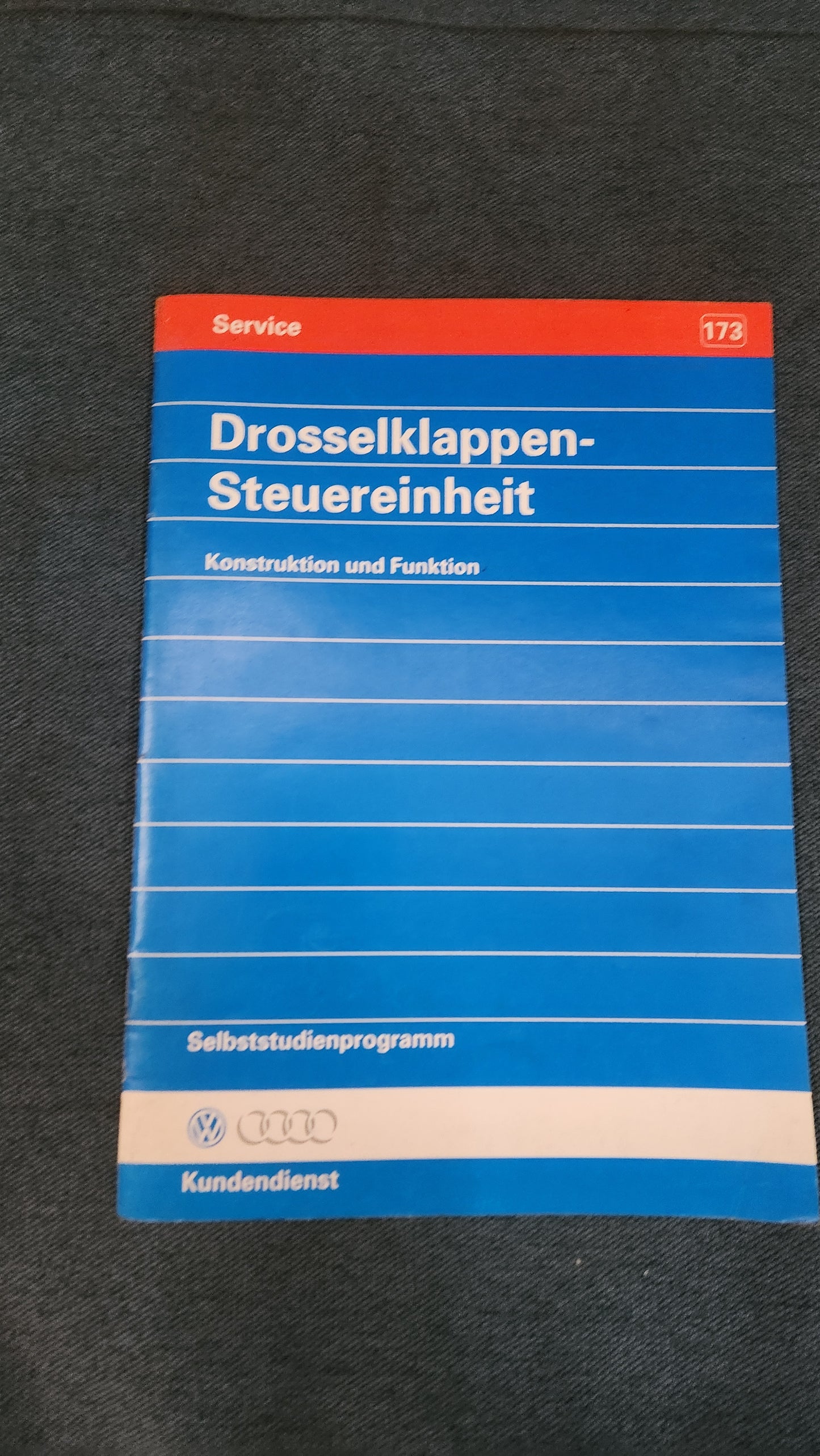 Throttle Valve Control Unit Design and Function Self-Study Program No. 173 Repair Manual Workshop Manual