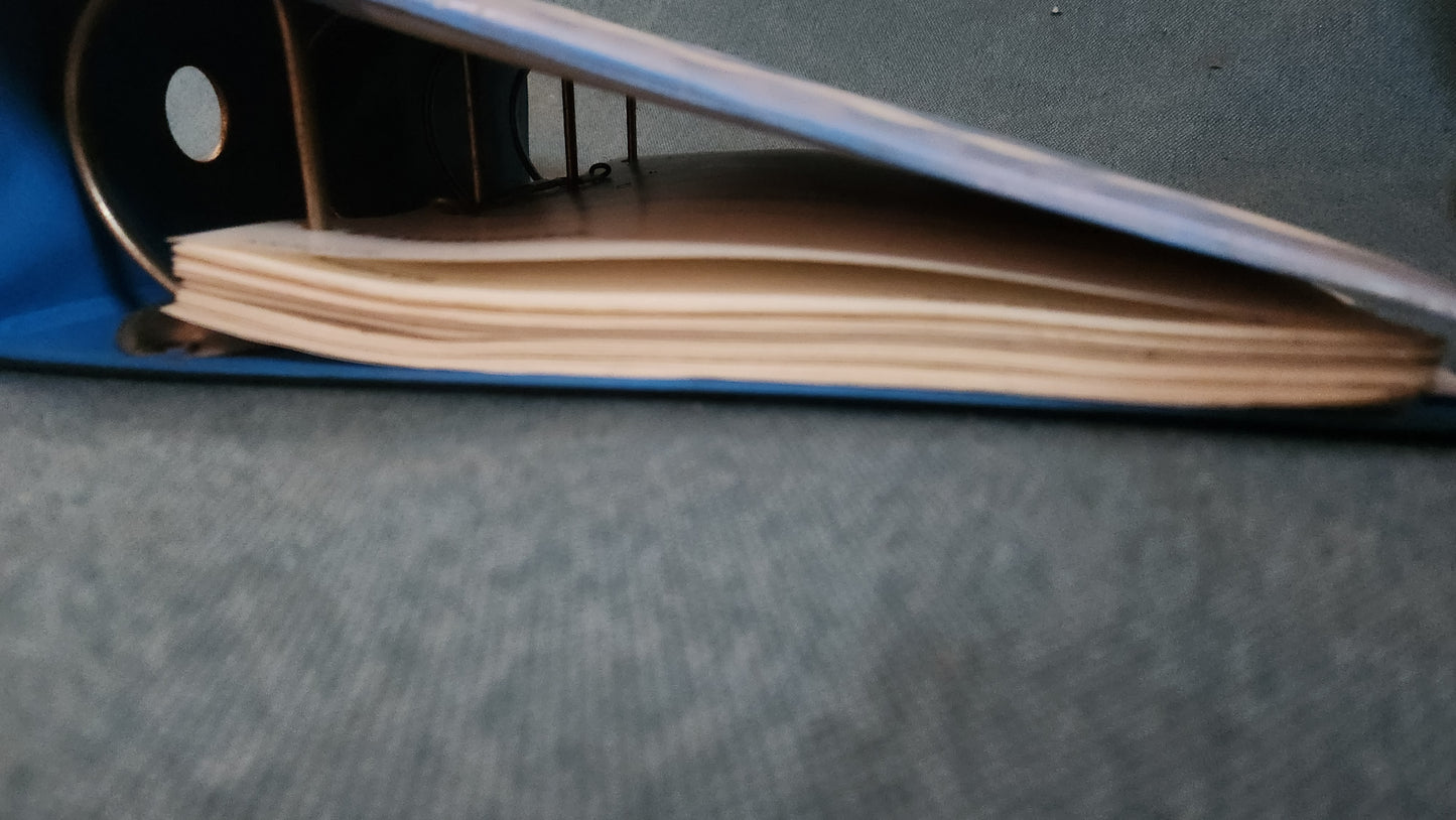 Polo 6N Typ 3 Stromlaufpläne Werkstattbuch