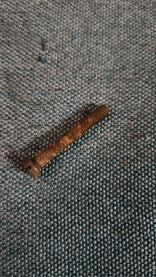 Slotted screw M6x38 N0107221 Nos H8