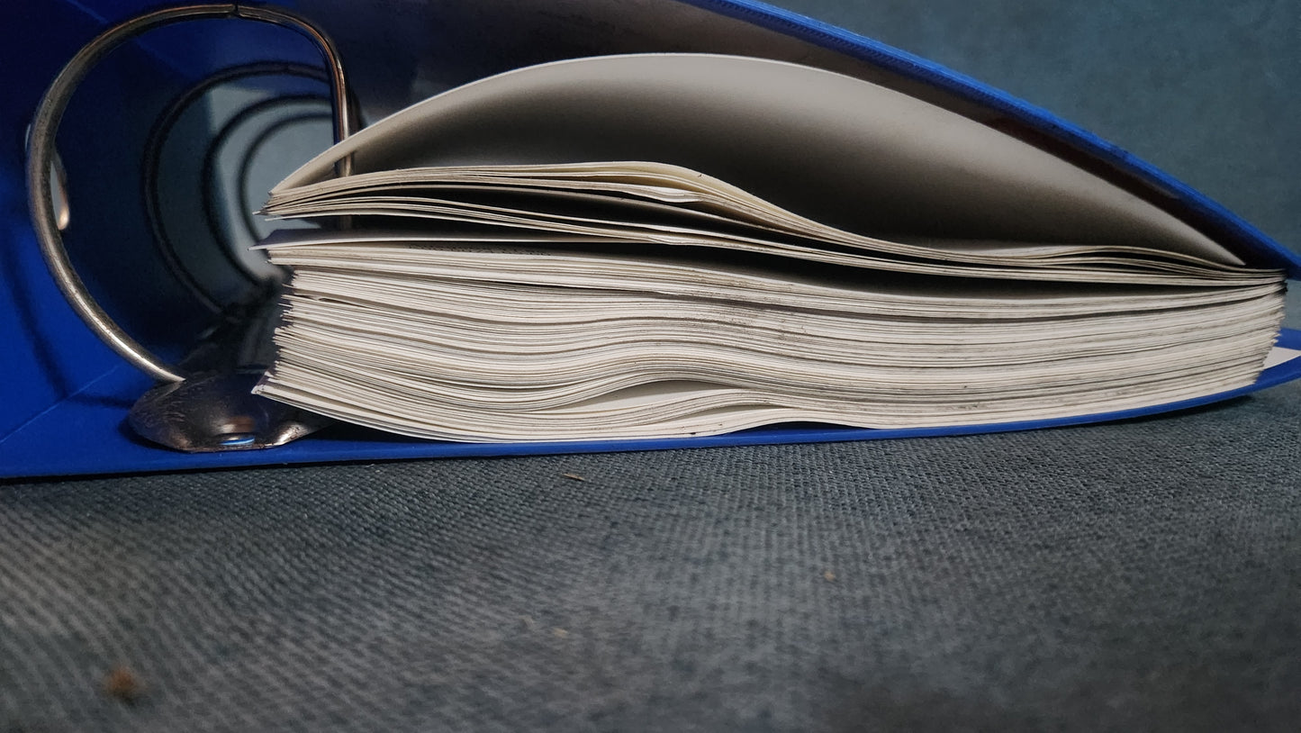 Passat 3B/BG Stromlaufpläne Werkstattbuch Reparaturleitfaden