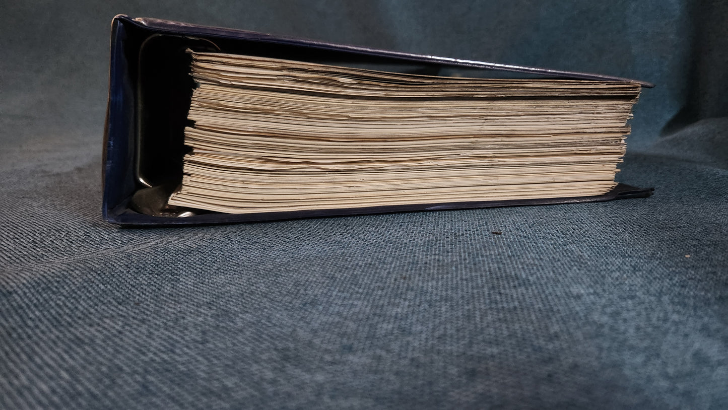 Fiat Palio Weekend Repair Manual Workshop Manual