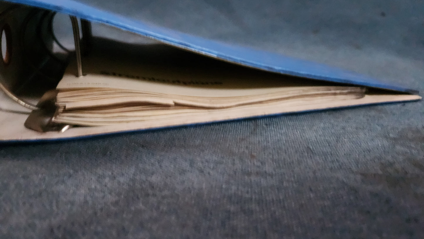 Polo 1/86c Audi 50 Derby Reparaturleitfaden Werkstattbuch