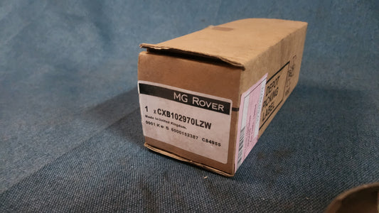 Rover 45 MG ZS Türgriff Chrom cxb102970lzw Nos B3