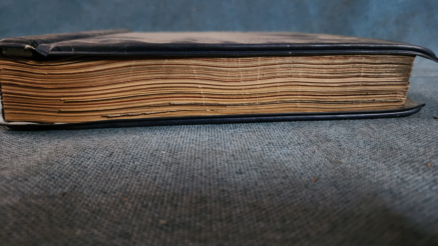 Passat B1 Reparaturleitfaden Werkstattbuch