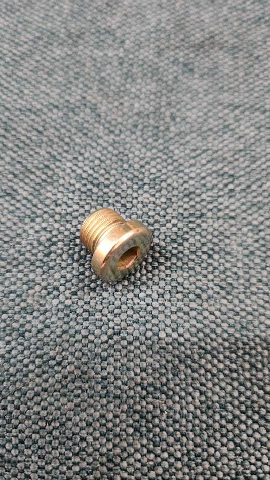 Hex plug M10x1 Golf/Jetta1/2/Caddy14D/Scirocco1/2/PassatB1/B2/Polo1 N0160241 Nos I9/M8